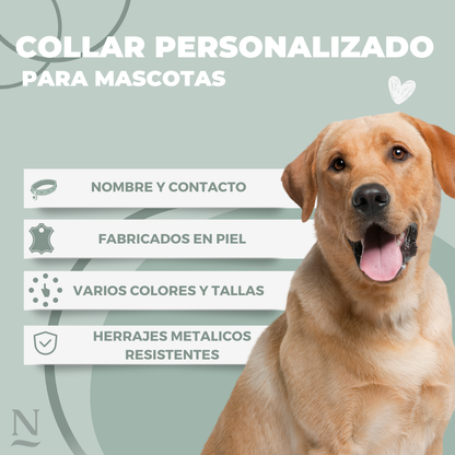 Collar Perro con Chapas Personalizadas