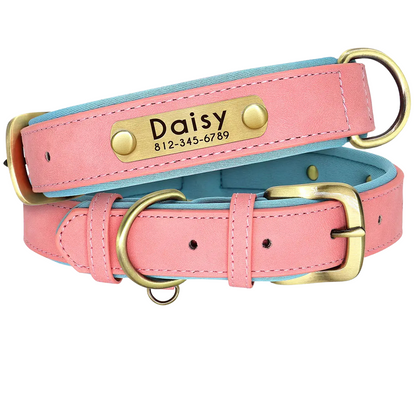 Collar Perro con Chapas Personalizadas